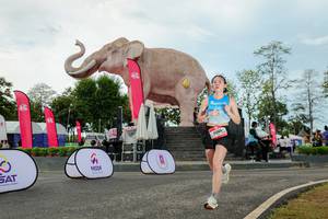 BIB: 
                            <button type="button" onclick="openModal(26528997)" class="btn btn-primary btn-sm float-right btn-popup" data-toggle="modal" data-target=".modal-high-quality">
                        <i class="fas fa-shopping-cart"></i> Add to Cart
                    </button>
                                            <button type="button" onclick="isThisMe(26528997, true)" class="btn btn-success btn-sm float-right btn-popup btn-isme hidden" data-toggle="tooltip" data-placement="bottom" title="นี่คือรูปของคุณใช่ไหม คลิกที่นี่เพื่อเอาเข้าอัลบั้ม">
                        <i class="fas fa-plus"></i> Add to album
                    </button>
                    <button type="button" onclick="isThisMe(26528997, false)" class="btn btn-warning btn-sm float-right btn-popup btn-isnotme hidden">
                        <i class="fas fa-ban"></i> Remove from album
                    </button>